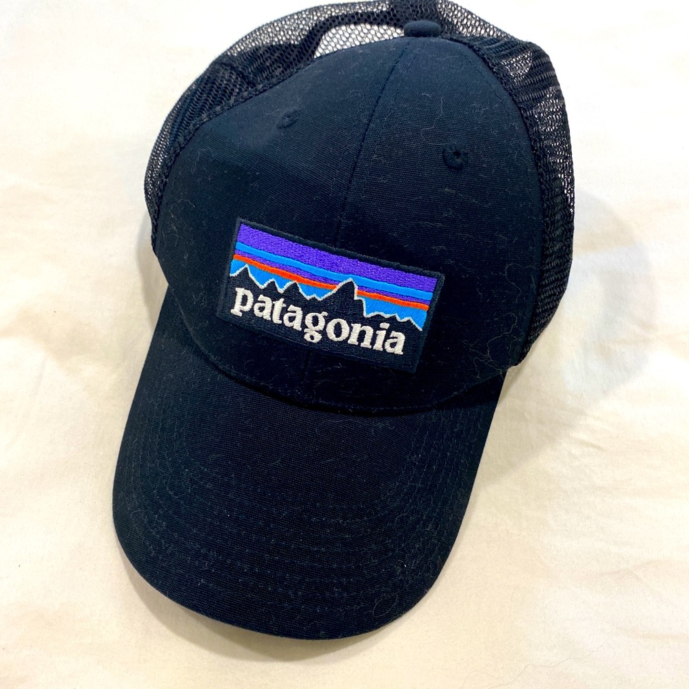 Patagonia Trucker Hat